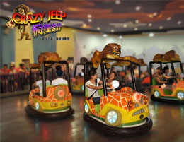 Choosing Equipment and Venue when Installing Bumper Car